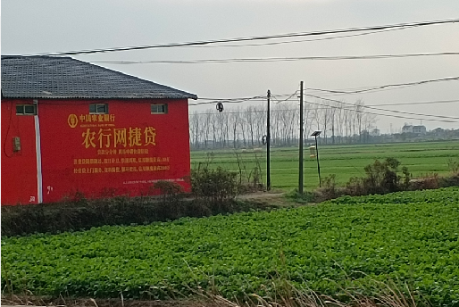 苍南如何防止墙体广告褪色呢？