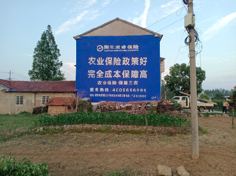 苍南墙体广告为何受追捧？