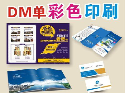苍南单页印刷，色彩搭配简单。